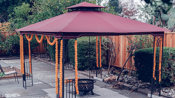 Gulpreet Indro-20211203-2447.jpg