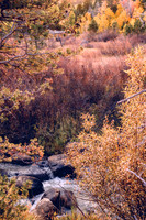 Junnu-191009-2100.jpg