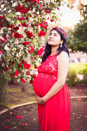 Bindu-19.jpg