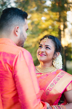 Janani_Goutham-20180830-0110.jpg