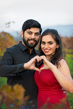 Payal Chintan-20181209-79.jpg