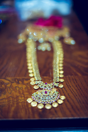 Mounica Satya-190428-2475.jpg