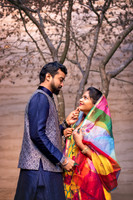 Isha Sangam PreWed-0036.jpg