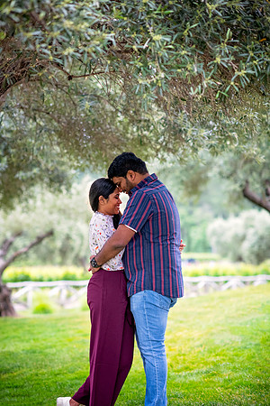 Sree Siva PreWed-190505--15.jpg